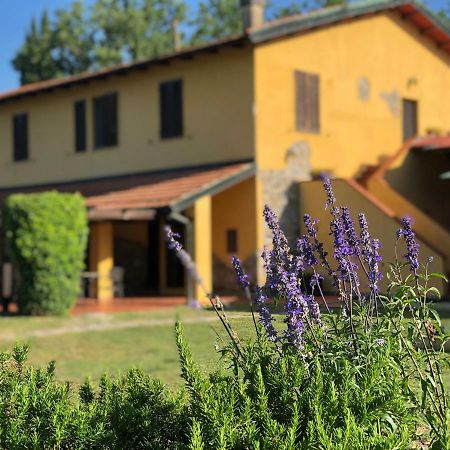 Agriturismo Santa Lorica ساسيتا المظهر الخارجي الصورة