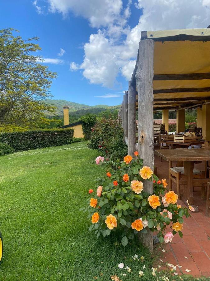 Agriturismo Santa Lorica ساسيتا المظهر الخارجي الصورة