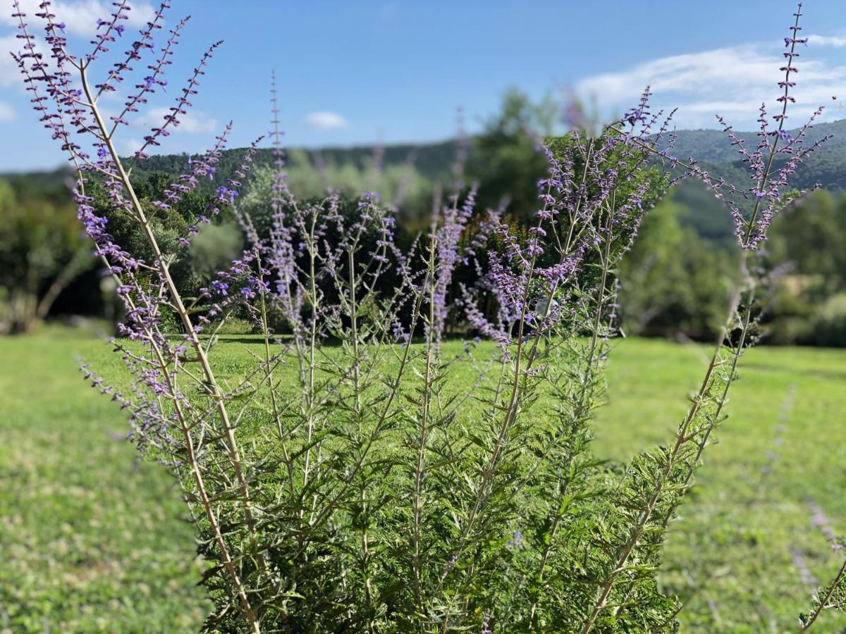 Agriturismo Santa Lorica ساسيتا المظهر الخارجي الصورة